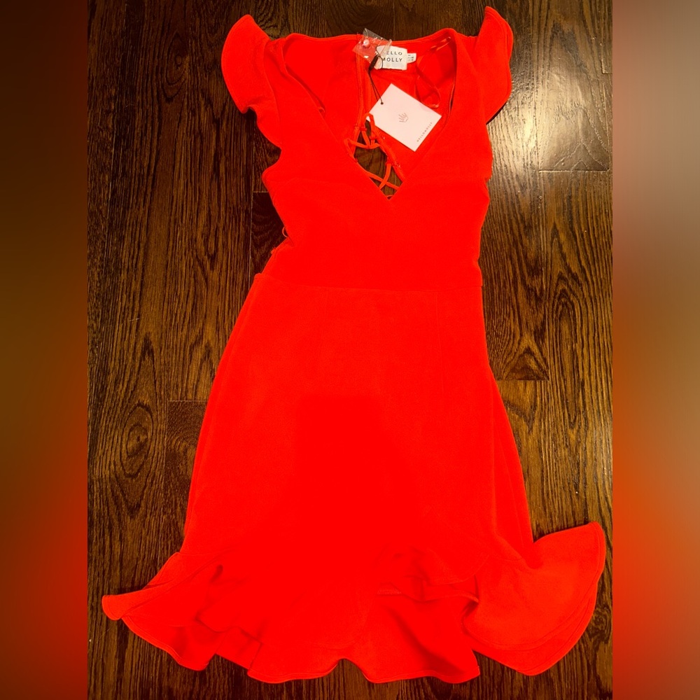 New with tags! Hello Molly Burnt Orange Mini Dress